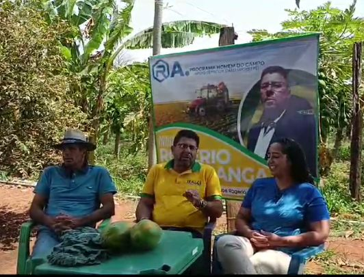 Produção de mamão crescendo na agricultura familiar no DF